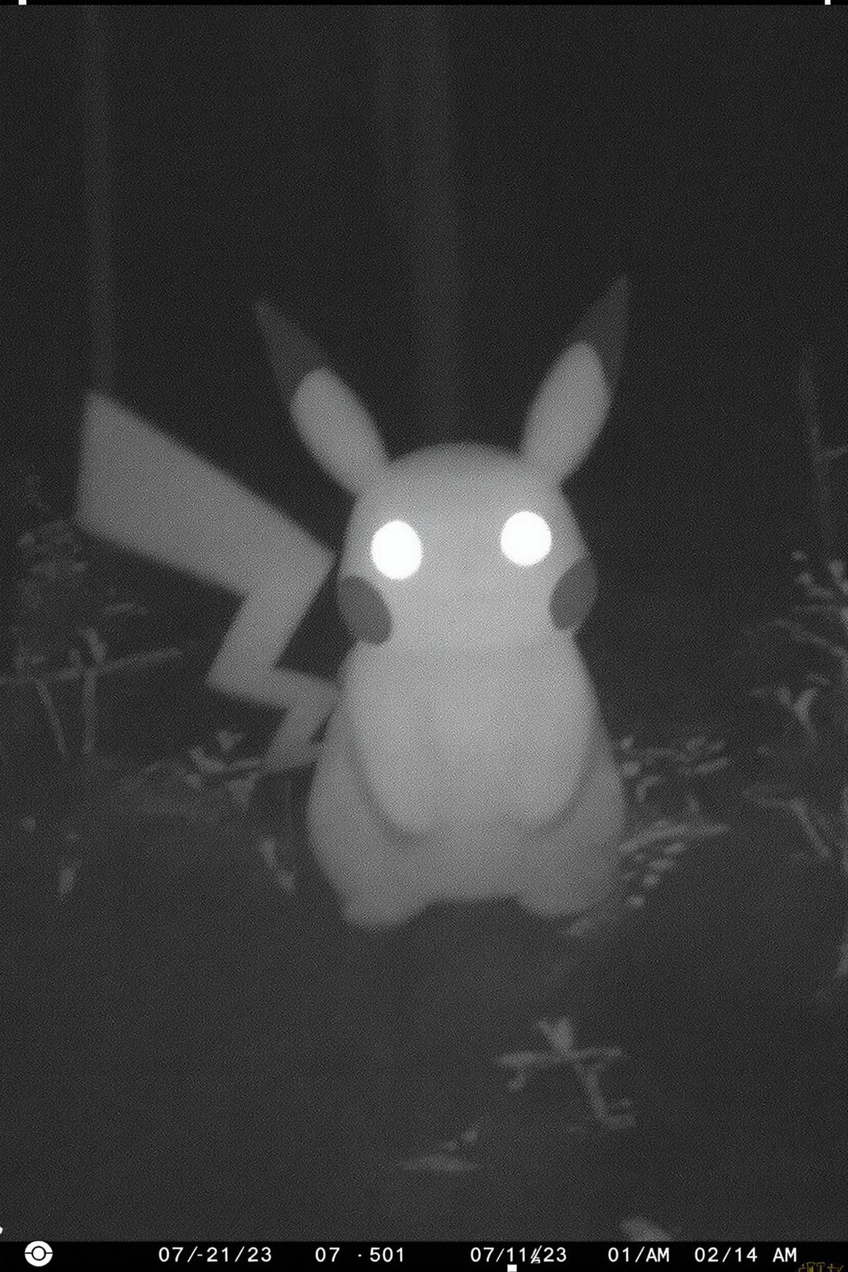 Pikachu caught on trail cam, grainy, cute pikachu
