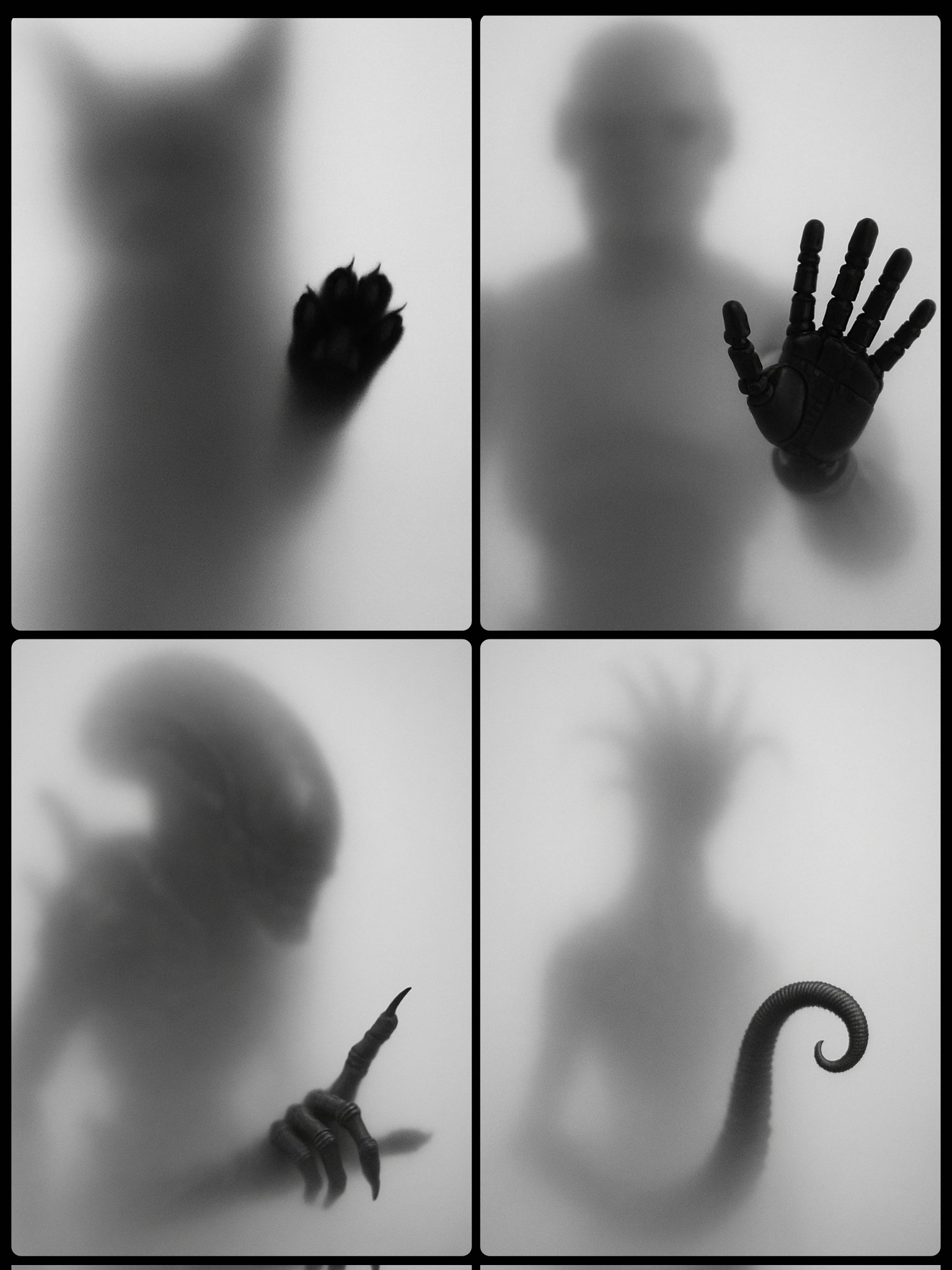 A black and white photograph shows the blurred silhouette of a [SUBJECT] behind a frosted or translucent surface. The […